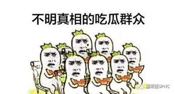 吃瓜群众看不懂娱乐圈